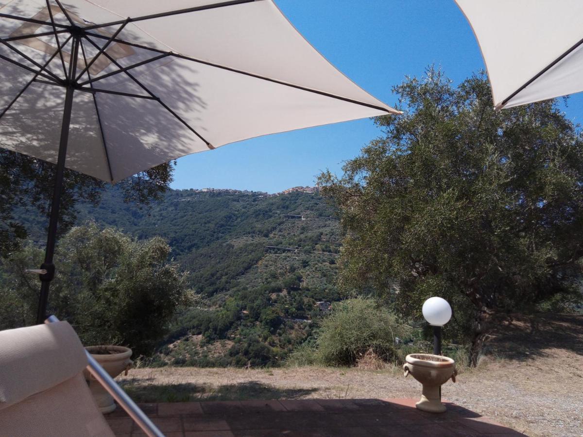 L'Antica Quercia B&B Castell'Umberto Exteriér fotografie