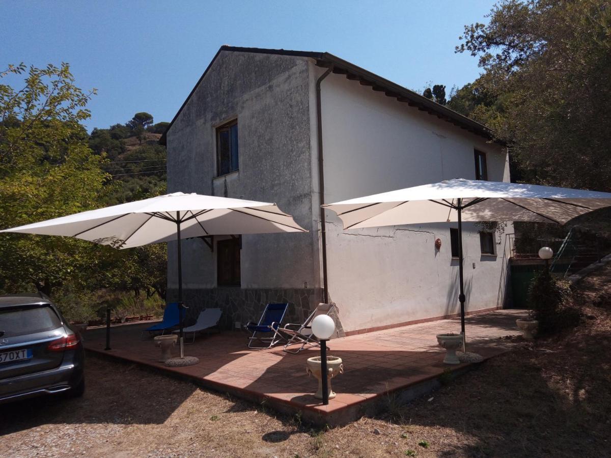 L'Antica Quercia B&B Castell'Umberto Exteriér fotografie