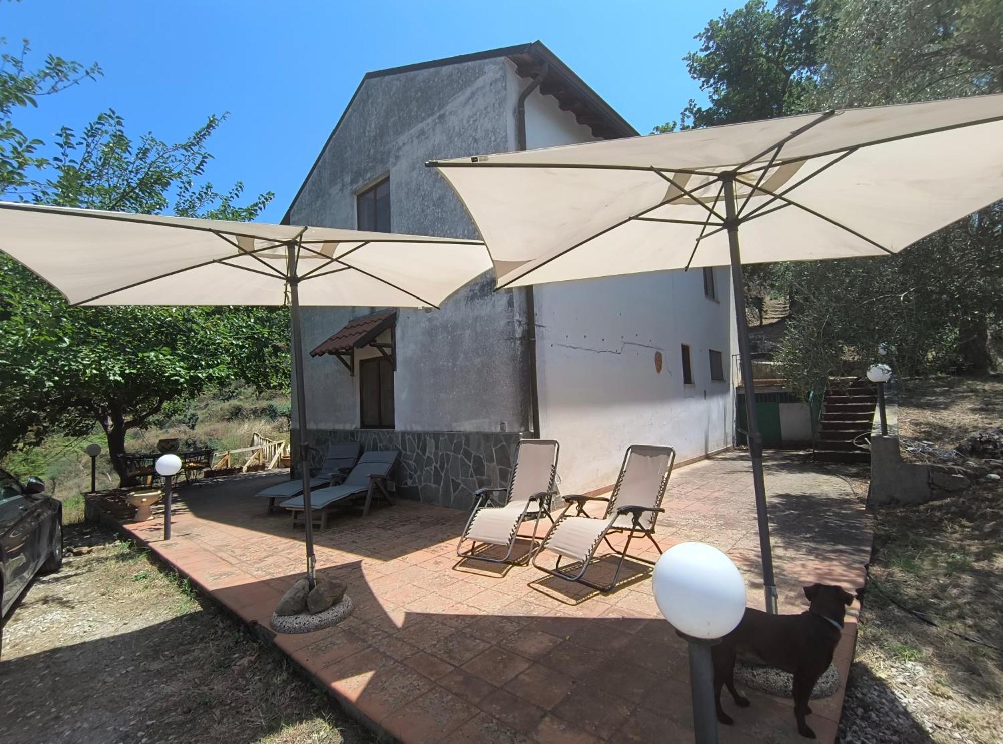 L'Antica Quercia B&B Castell'Umberto Exteriér fotografie