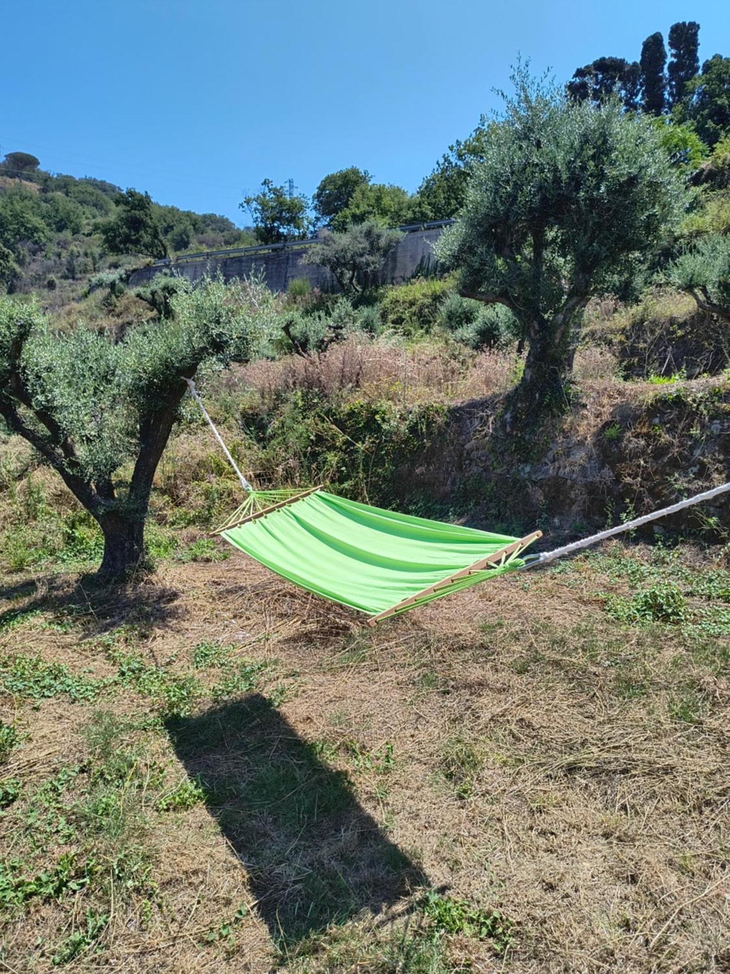 L'Antica Quercia B&B Castell'Umberto Exteriér fotografie